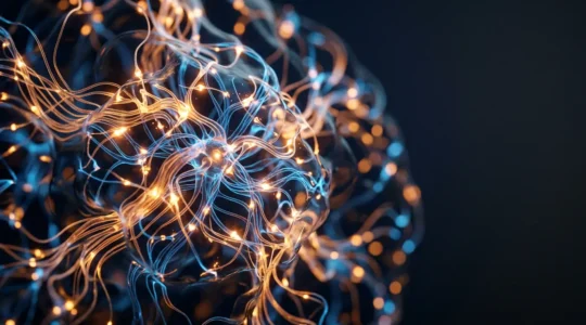 Représentation conceptuelle des zones cérébrales activées pendant le rire et l'humour